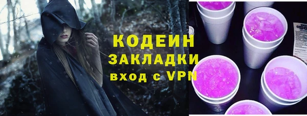 крисы Горняк