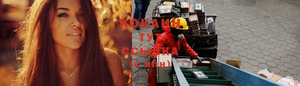 крисы Горняк