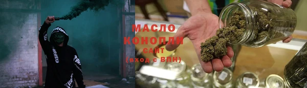 крисы Горняк