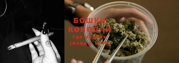 сатива Горнозаводск