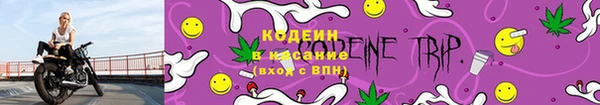 крисы Горняк