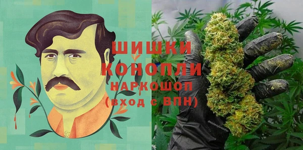 сатива Горнозаводск