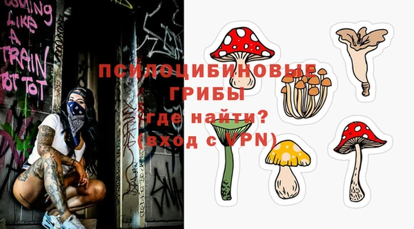 крисы Горно-Алтайск