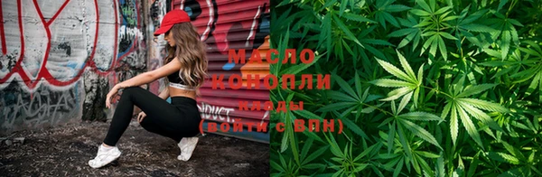 крисы Горняк
