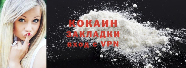 крисы Горняк