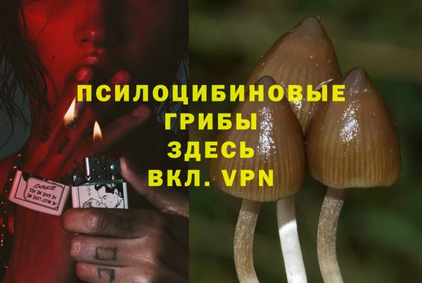 сатива Горнозаводск