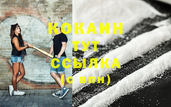 сатива Горнозаводск