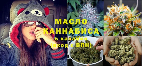 сатива Горнозаводск