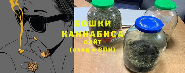 крисы Горняк