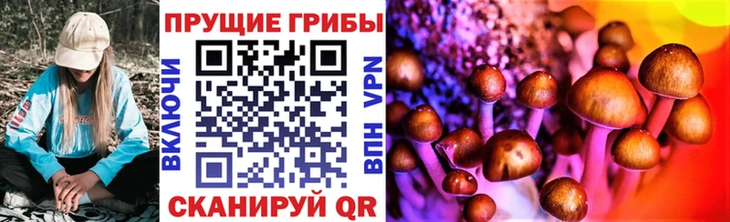 как найти закладки  Домодедово  Галлюциногенные грибы Psilocybine cubensis 