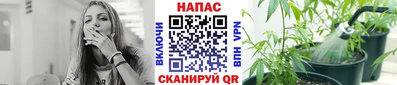 МАРИХУАНА семена  Домодедово 